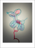 "Balloon Dog Fetus" Print