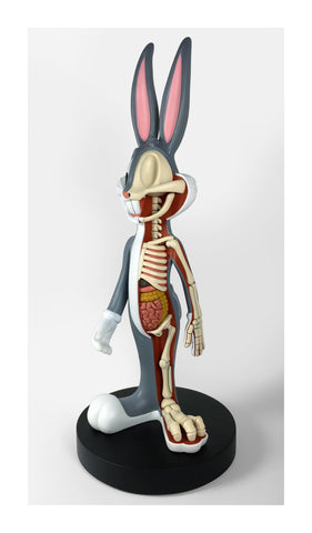 Bunny Dissection Print