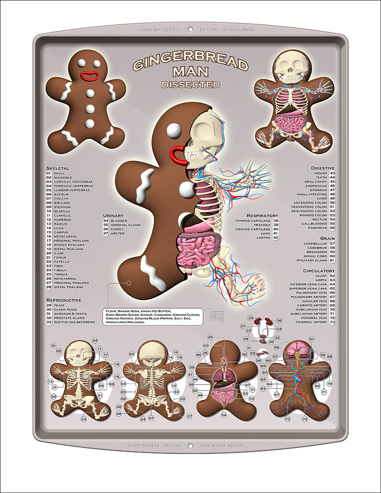 "Gingerbread Man Dissected" Print