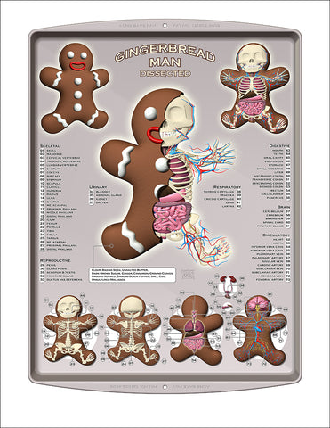 "Gingerbread Man Dissected" Print