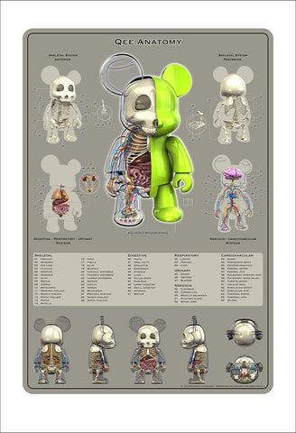 "Qee Anatomy" Print (limited Edition)