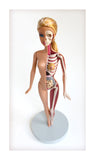 Doll Dissection Print