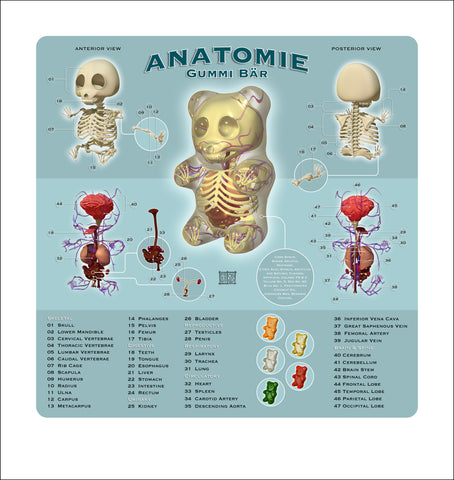 "Anatomie Gummi Bar" Print
